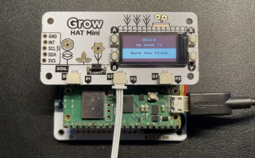 Raspberry Pi Pico W permite que su planta de interior le envíe mensajes de texto